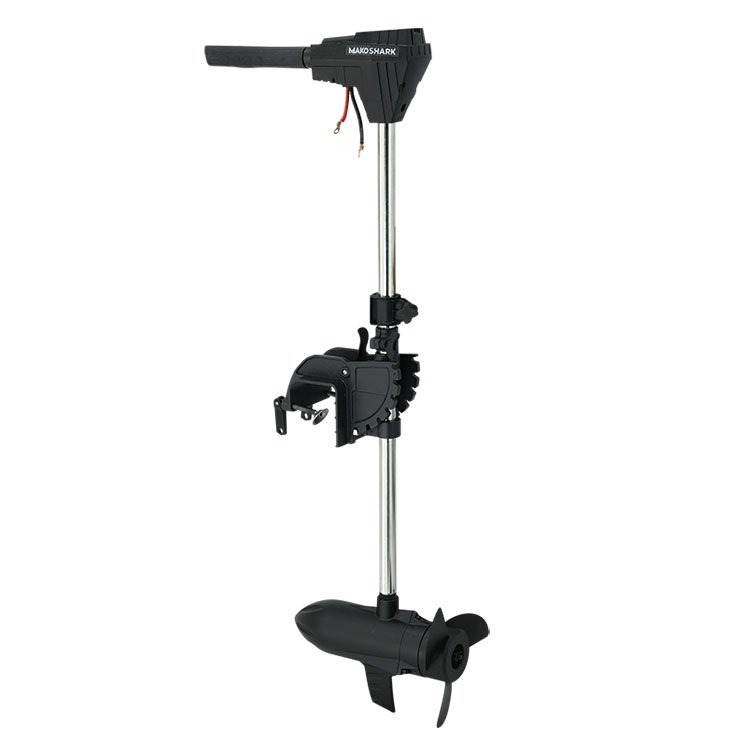 BS100 Chinese Fishing 12V 24V Brushless Trolling Motor Boat Engine Electric Outboard Motor for Sale